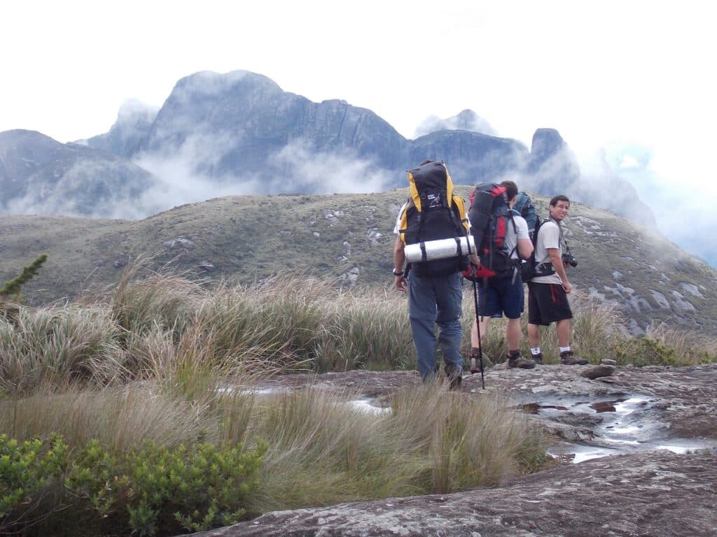 structured wilderness how campsite organization shapes efficiency and enjoyment in camping 2